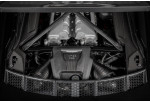 EVENTURI Carbon Intake System For Audi R8 V10 4S