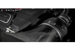 EVENTURI Carbon Intake System Gen 1 For Audi RS3 8V