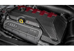 EVENTURI Carbon Fiber Engine Cover For Audi RSQ3 F3
