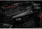 EVENTURI Carbon Intake System For Audi RSQ3 F3