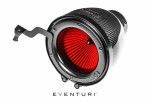 EVENTURI Carbon Air Intake System For BMW M2 Competition F87