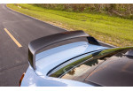 Carbon Rear Wing Class 3 ALPHA-N For BMW M2 G87