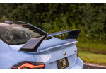 Carbon Rear Wing Class 3 ALPHA-N For BMW M2 G87