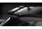 Audi Q5/SQ5 (FL) CARACTERE Roof Spoiler