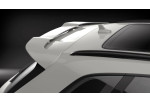 Audi Q5/SQ5 (FL) CARACTERE Roof Spoiler