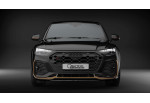 Audi Q5/SQ5 Sportback CARACTERE Front Skirt 