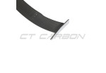 Rear Wing Carbon Fiber CT CARBON For Audi R8 V10 4S