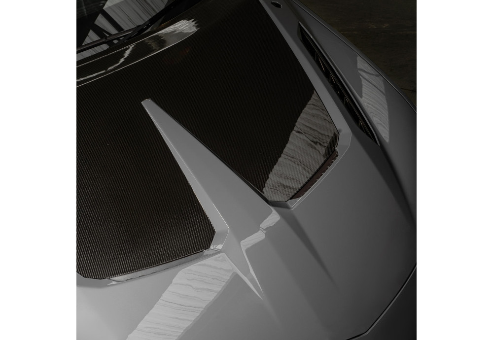 URBAN Bonnet Carbon Fiber For Lamborghini URUS S Performante
