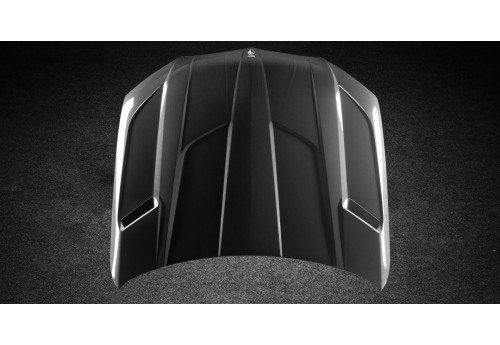 Hood Larte Design For BMW X6M F96