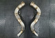 Downpipes For BMW X6M Series F86 With S63B44 Engine